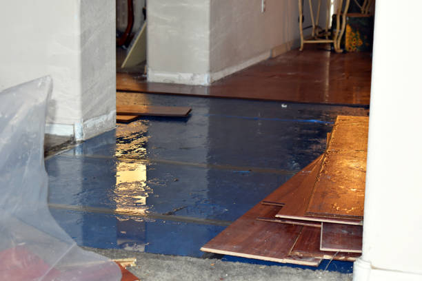 Professional Flood Cleanup technician working in Florence, OR